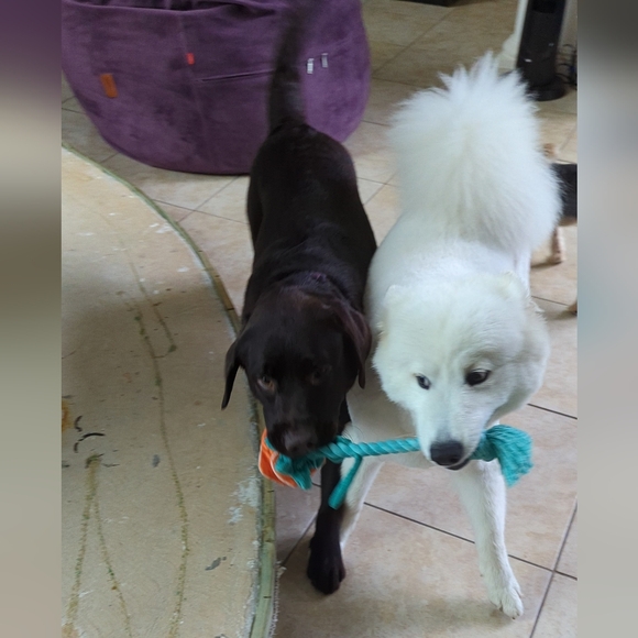 Meet your Posher, Seema - Picture 3 of 14